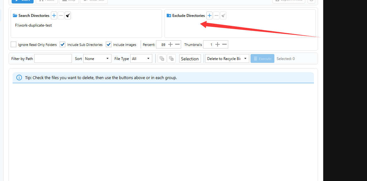 Exclude Directories area