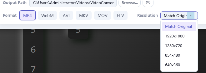 Format chips for MP4, WebM, AVI, MKV, MOV, FLV and the Resolution dropdown